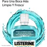 Listerine Mentol (1 x 250 ml