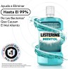 Listerine Mentol (1 x 250 ml