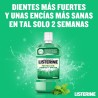 Listerine Protección Encías 250 ml Colutorio