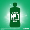 Listerine Protección Encías 250 ml Colutorio